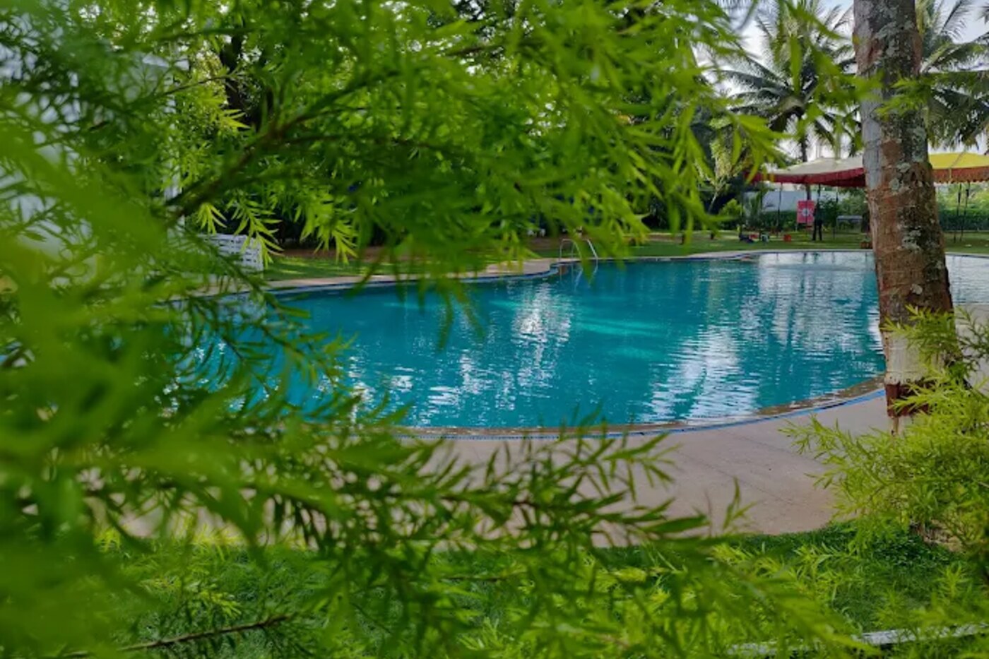 Poolside lawn set up for an event